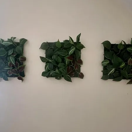 Calm 100m From The Villa