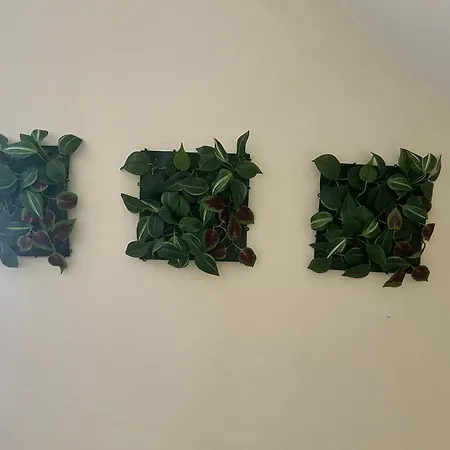 Calm 100m From The Αγία Νάπα