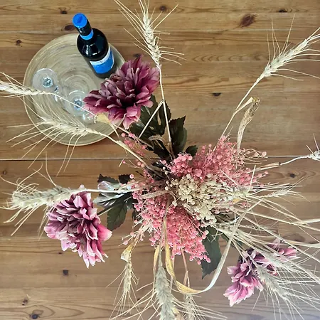 Calm 100m From The Βίλα Αγία Νάπα