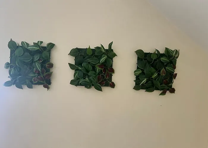 Calm 100m From The Ayia Napa