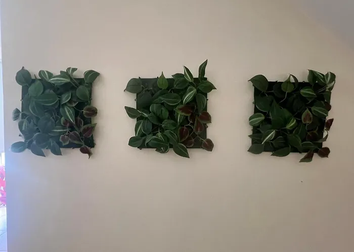 Calm 100m From The ヴィラ